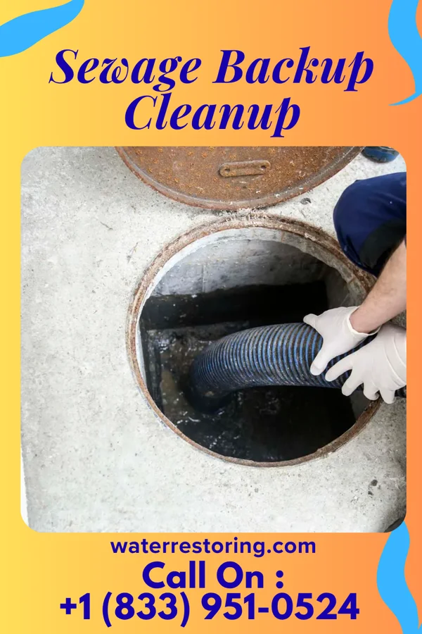 Sewage Backup Cleanup in Amanda, OH