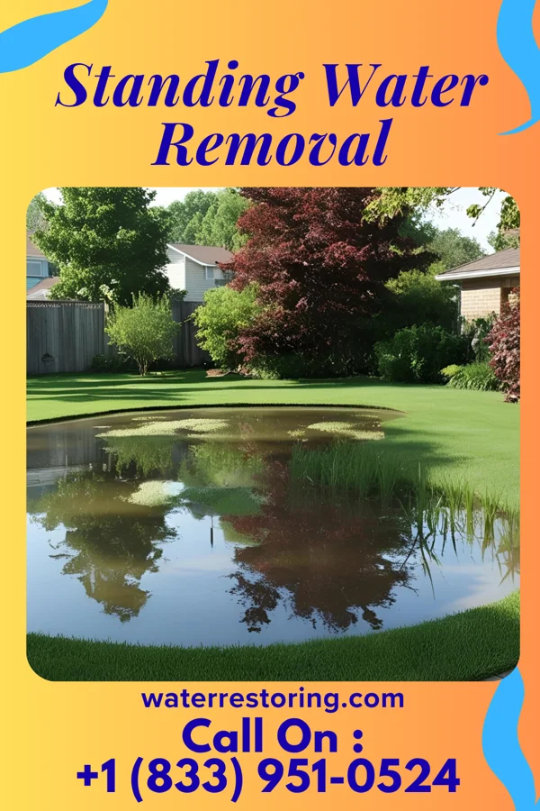 Standing Water Removal in Amanda, OH